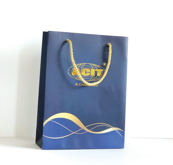 Túi giấy in logo công ty được hay được sử dụng trong các sự kiện, tặng quà