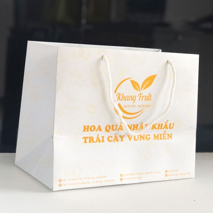 Túi giấy đựng hoa quả loại 5kg màu trắng