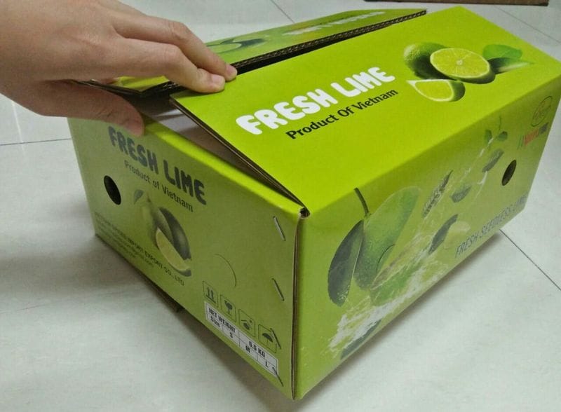 Dac diem cua thung carton dung trai-cay xuat khau